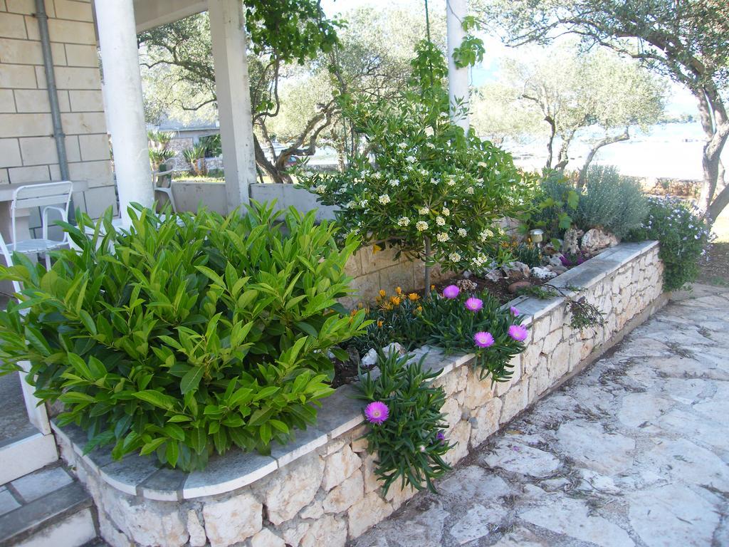Apartments Maslina Lumbarda Dış mekan fotoğraf