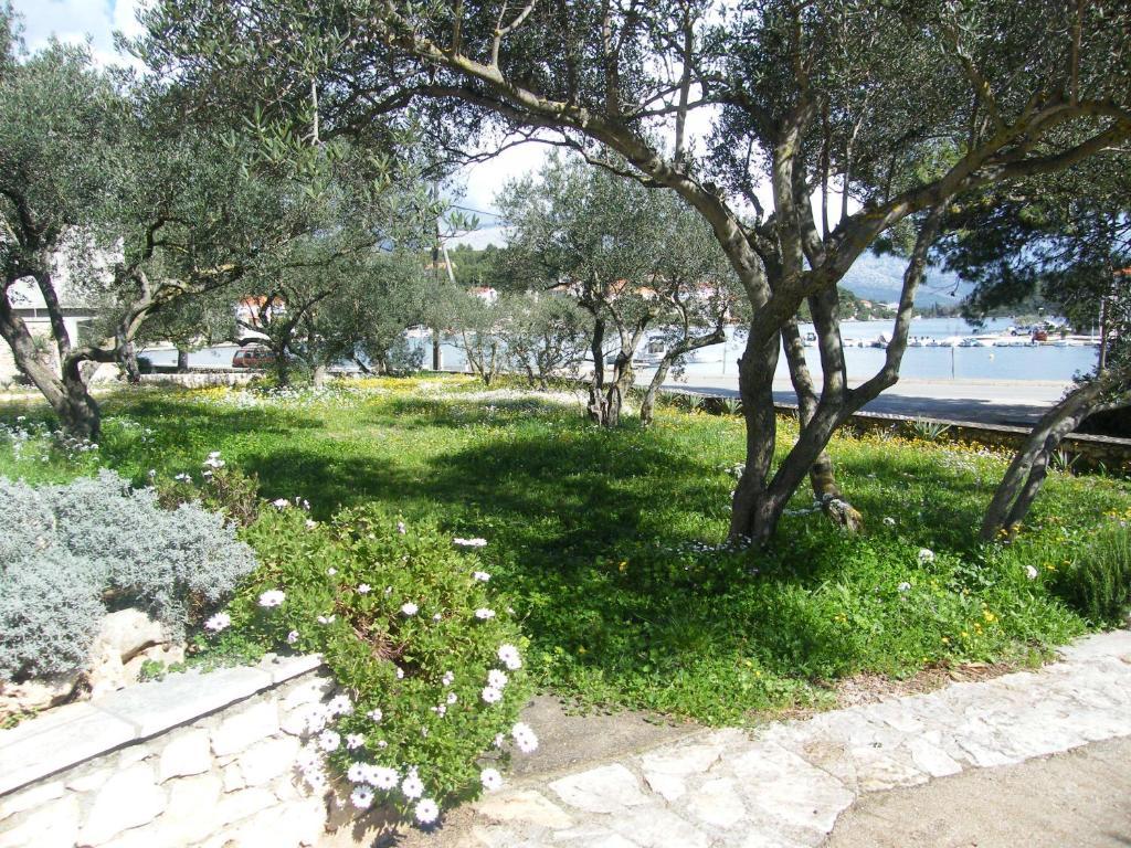 Apartments Maslina Lumbarda Dış mekan fotoğraf