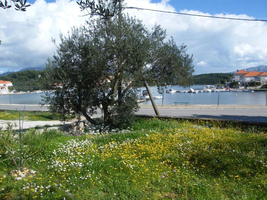 Apartments Maslina Lumbarda Dış mekan fotoğraf